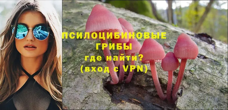 Галлюциногенные грибы Cubensis  hydra вход  Суворов 